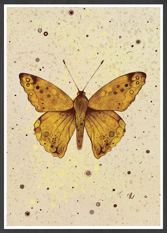 Amber Butterfly Art Print