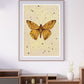 Amber Butterfly Home Decor