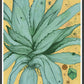 Dancing Aloe Botanical Print