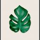 Beautiful Monstera Leaf Art Print shown in a frame