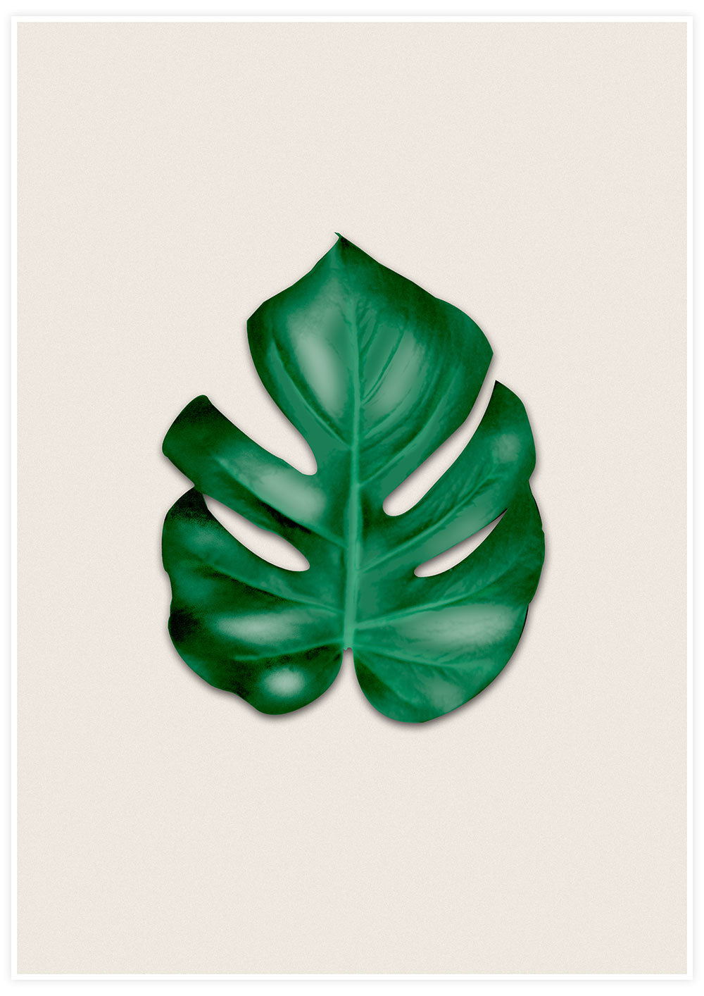 Simple and natural Monstera Leaf Art Print