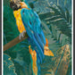 Parrot Art Print by Sarah Manovski in a frame