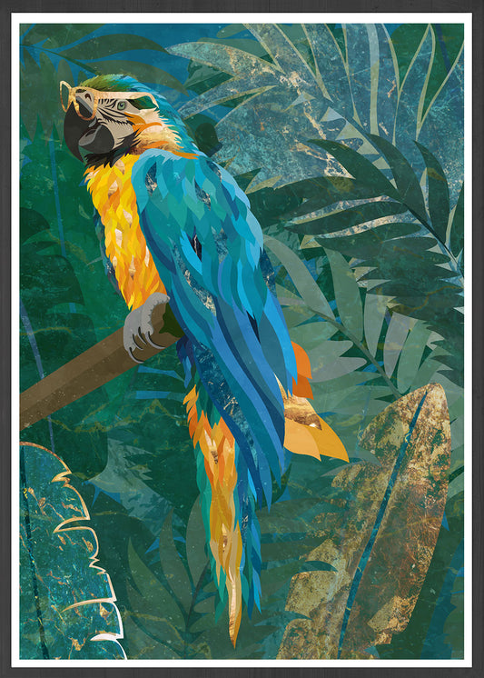 Parrot Art Print by Sarah Manovski in a frame