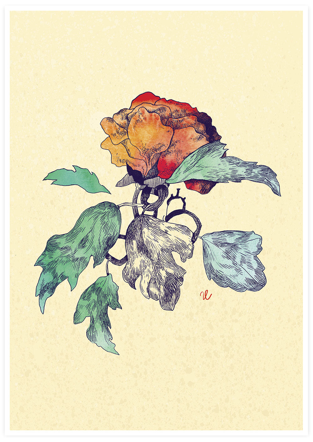 Sunset Rose Flower Poster
