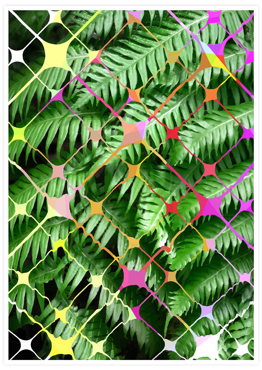Tropicalia 8 Palm Art Print Poster