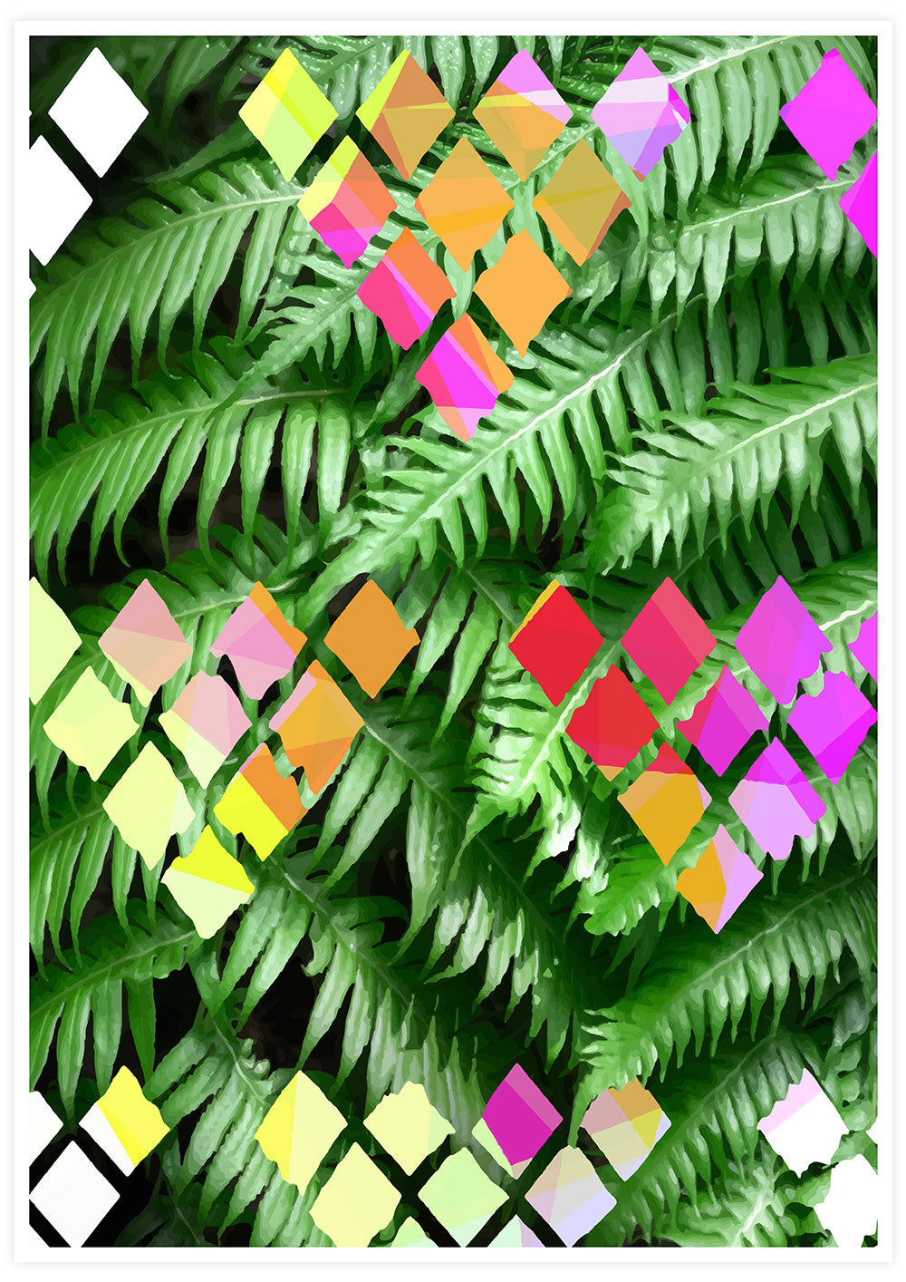 Tropicalia 9 Palm Leaf Poster