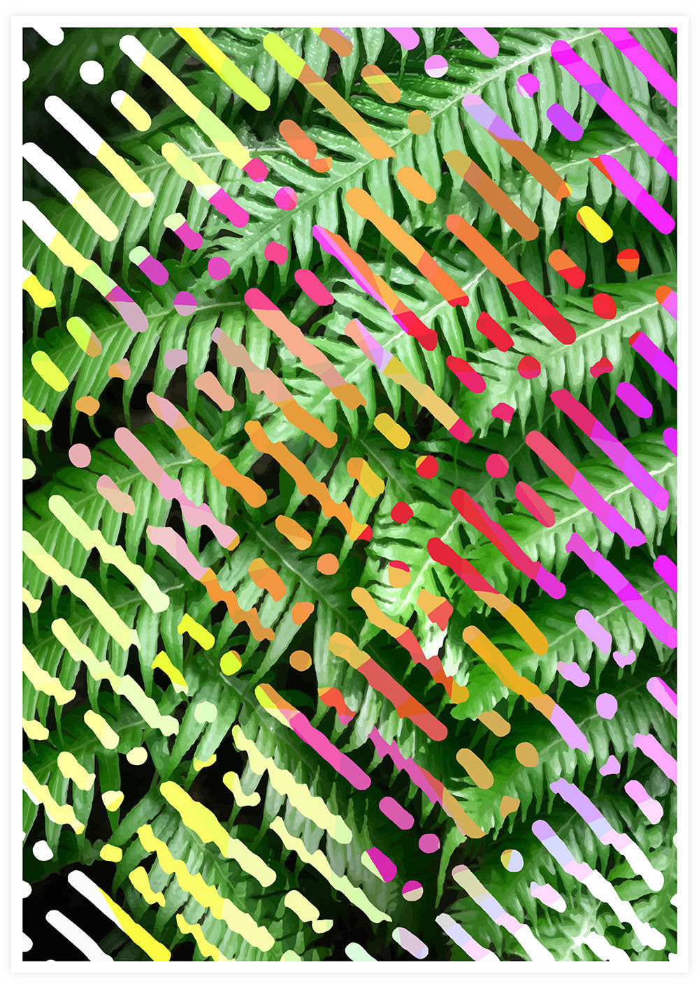 Tropicalia 10 Botanical Art Poster Print