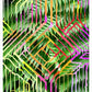 Tropicalia 12 Abstract Poster